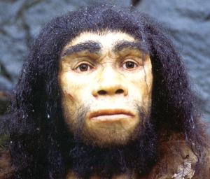 homo.heidelbergensis.a